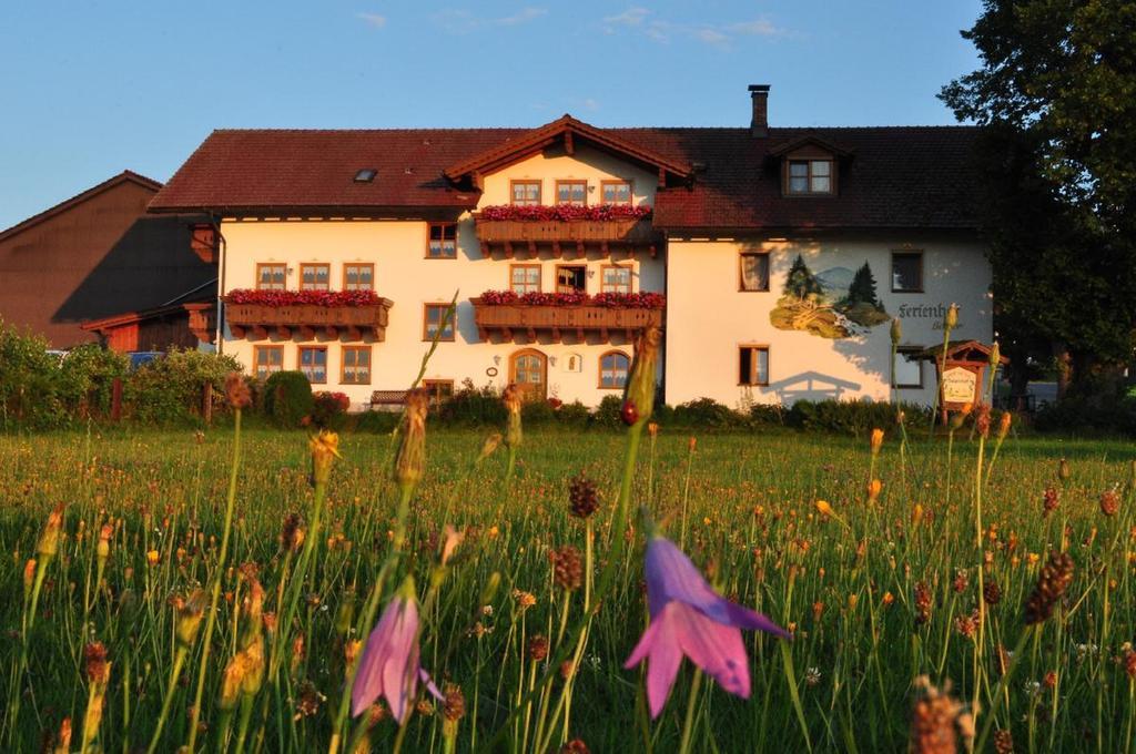 Apartament Bauernhof Bauer Zwiesel Zewnętrze zdjęcie